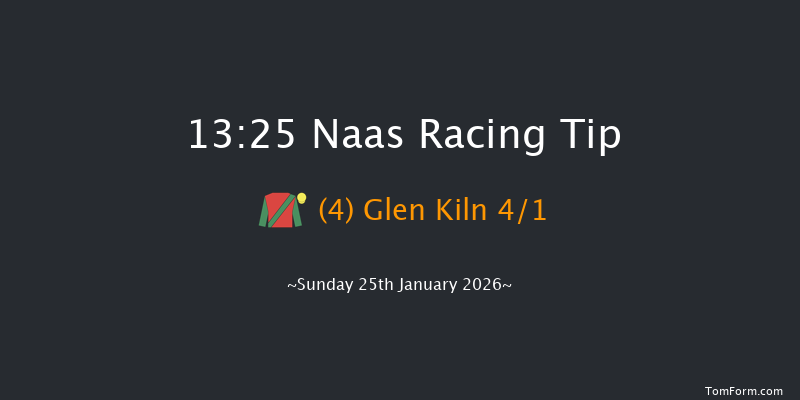 Naas 13-25 (Class 1) 15f Fri 9th Jan 2026