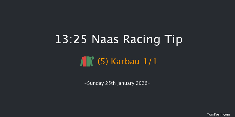 Naas 13-25 (Class 1) 15f Fri 9th Jan 2026