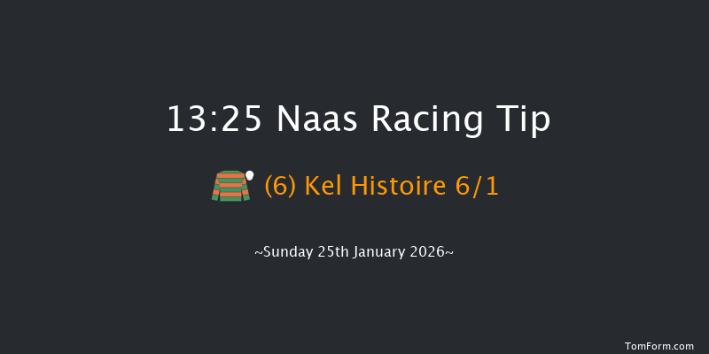 Naas 13-25 (Class 1) 15f Fri 9th Jan 2026