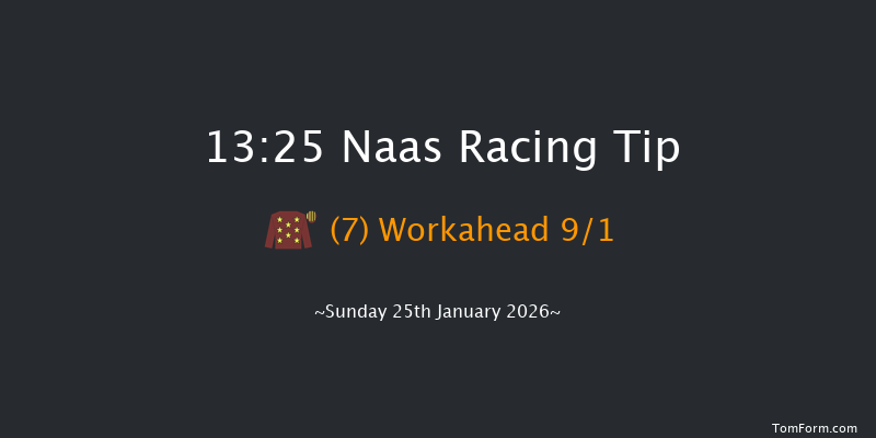 Naas 13-25 (Class 1) 15f Fri 9th Jan 2026