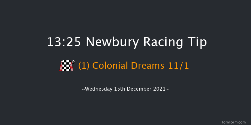 Newbury 13:25 Handicap Chase (Class 3) 23f Sat 27th Nov 2021