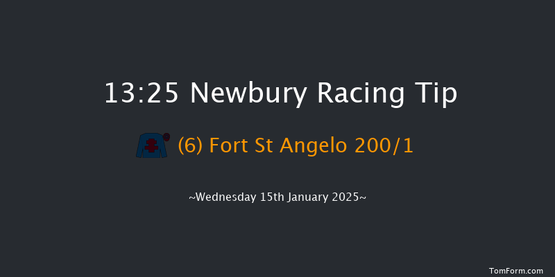Newbury  13:25 Maiden Hurdle (Class 3) 16f Sat 28th Dec 2024