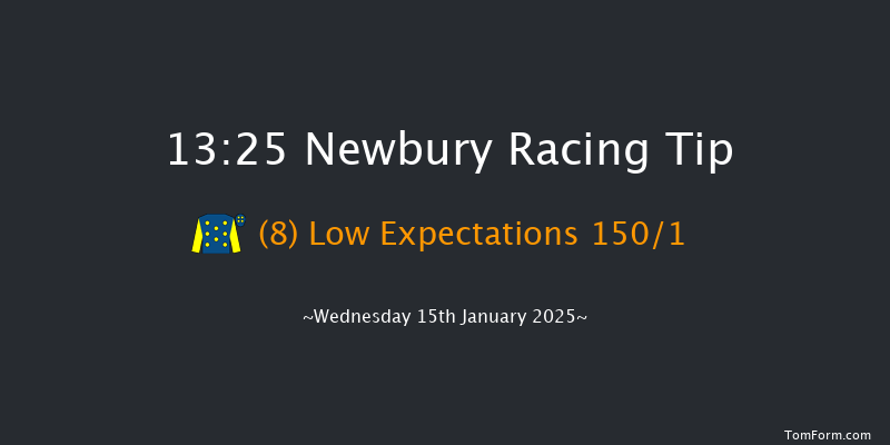 Newbury  13:25 Maiden Hurdle (Class 3) 16f Sat 28th Dec 2024