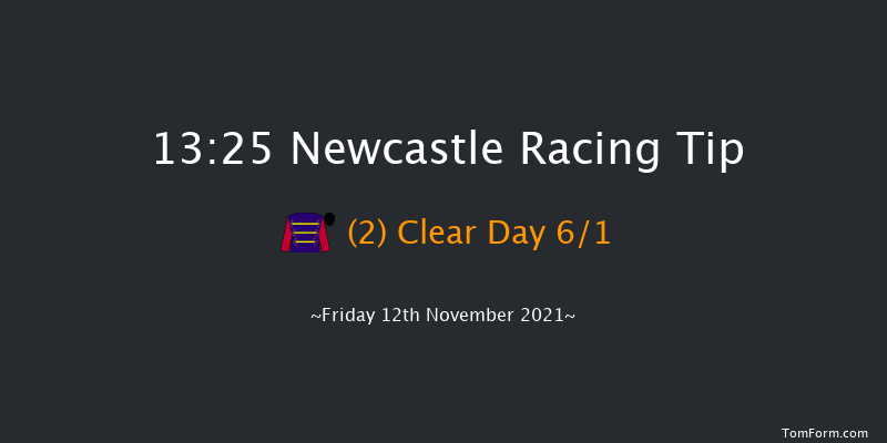 Newcastle 13:25 Maiden (Class 4) 10f Fri 30th Apr 2021