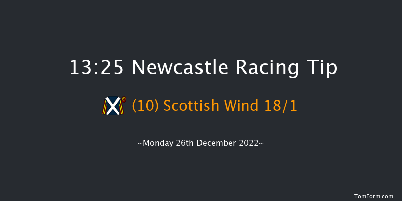 Newcastle 13:25 Maiden Hurdle (Class 4) 17f Tue 20th Dec 2022