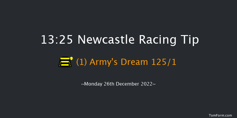 Newcastle 13:25 Maiden Hurdle (Class 4) 17f Tue 20th Dec 2022