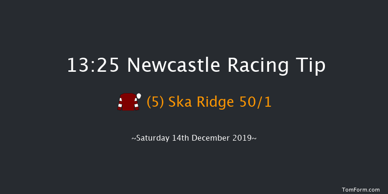 Newcastle 13:25 Stakes (Class 5) 12f Thu 12th Dec 2019