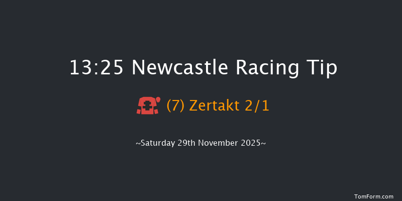 Newcastle 13-25 (Class 3) 29f Thu 27th Nov 2025