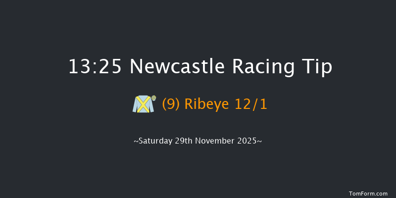 Newcastle 13-25 (Class 3) 29f Thu 27th Nov 2025