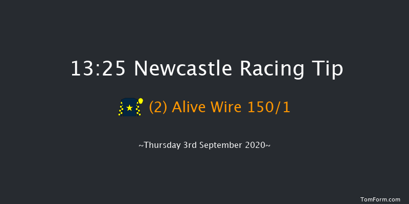 attheraces.com/EBF Novice Stakes (Div 1) Newcastle 13:25 Stakes (Class 5) 6f Sun 2nd Aug 2020