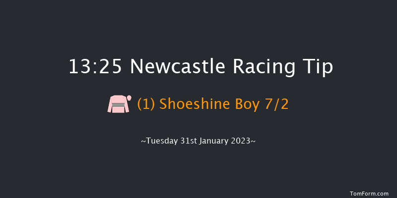 Newcastle 13:25 Handicap Hurdle (Class 5) 22f Thu 26th Jan 2023
