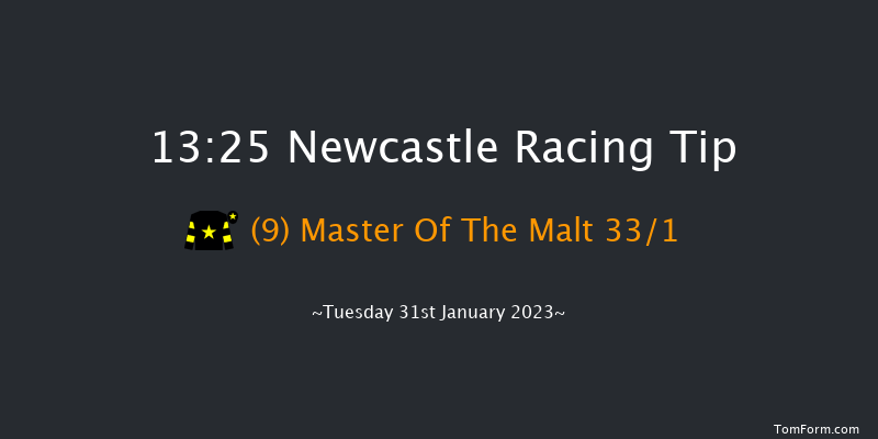 Newcastle 13:25 Handicap Hurdle (Class 5) 22f Thu 26th Jan 2023