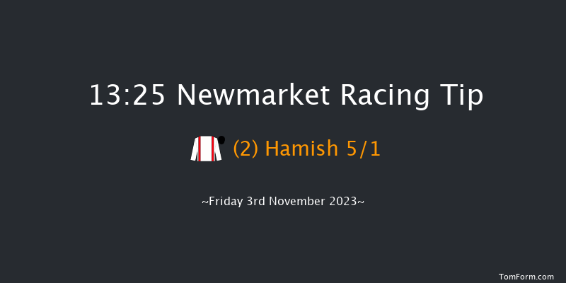 Newmarket 13:25 Group 3 (Class 1) 12f Sat 14th Oct 2023