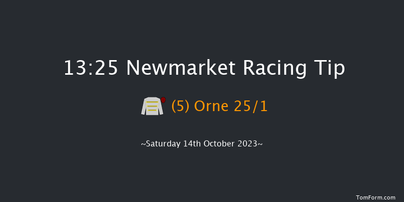 Newmarket 13:25 Group 3 (Class 1) 8f Fri 13th Oct 2023