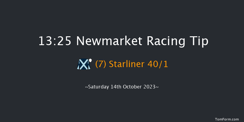 Newmarket 13:25 Group 3 (Class 1) 8f Fri 13th Oct 2023
