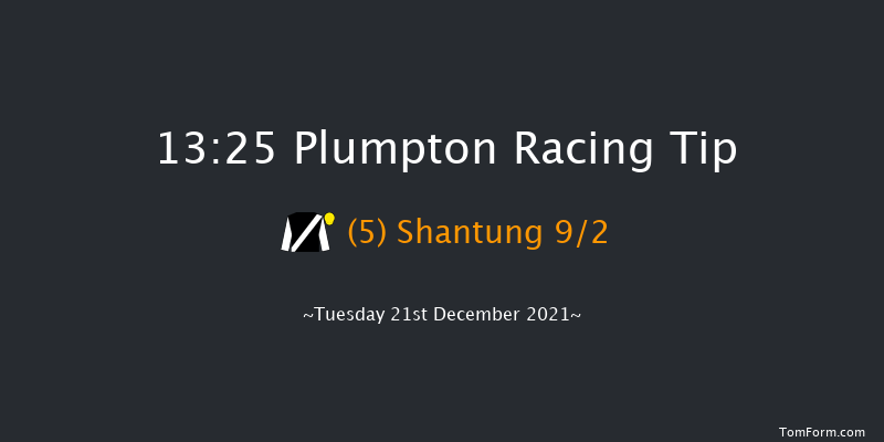 Plumpton 13:25 Handicap Hurdle (Class 3) 20f Mon 13th Dec 2021