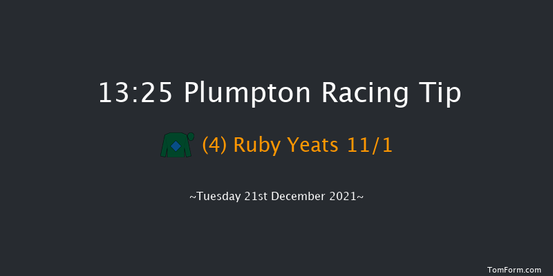 Plumpton 13:25 Handicap Hurdle (Class 3) 20f Mon 13th Dec 2021