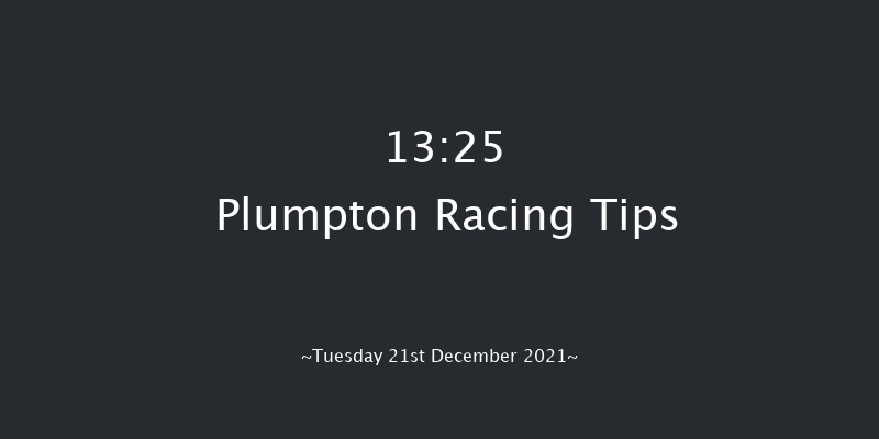 Plumpton 13:25 Handicap Hurdle (Class 3) 20f Mon 13th Dec 2021