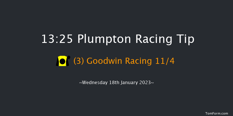 Plumpton 13:25 Maiden Hurdle (Class 4) 20f Mon 2nd Jan 2023