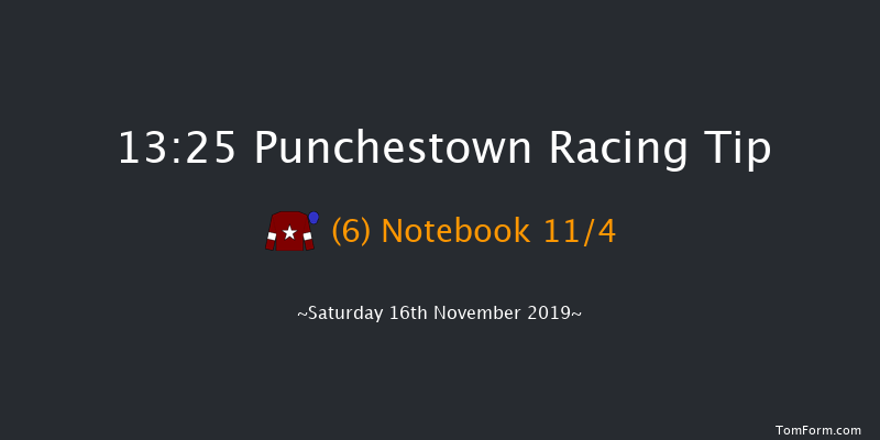 Punchestown 13:25 Novices Chase 16f Wed 16th Oct 2019