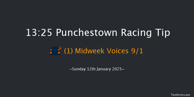 Punchestown  13:25 Handicap Chase 19f Tue 31st Dec 2024