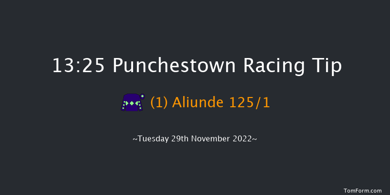 Punchestown 13:25 Maiden Hurdle 16f Sun 20th Nov 2022