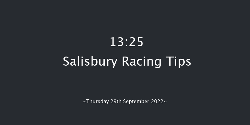 Salisbury 13:25 Stakes (Class 4) 8f Thu 1st Sep 2022
