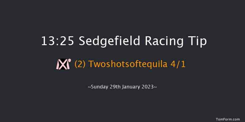Sedgefield 13:25 Handicap Chase (Class 4) 19f Fri 13th Jan 2023