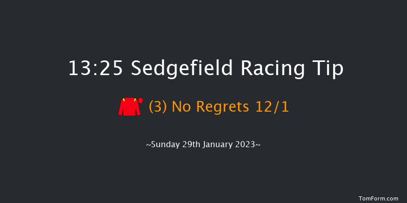 Sedgefield 13:25 Handicap Chase (Class 4) 19f Fri 13th Jan 2023