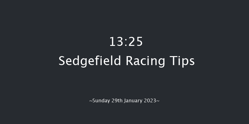 Sedgefield 13:25 Handicap Chase (Class 4) 19f Fri 13th Jan 2023