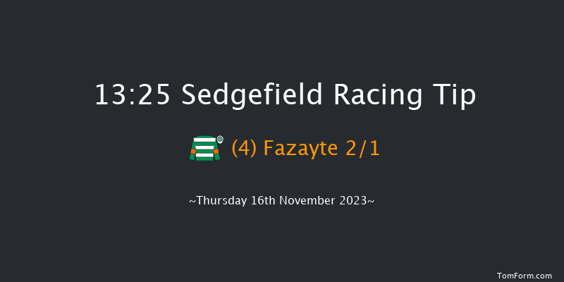 Sedgefield 13:25 Handicap Chase (Class 4) 19f Thu 9th Nov 2023