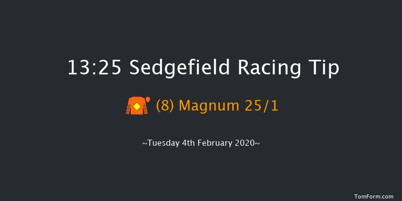 Sedgefield 13:25 Handicap Hurdle (Class 5) 20f Sun 26th Jan 2020