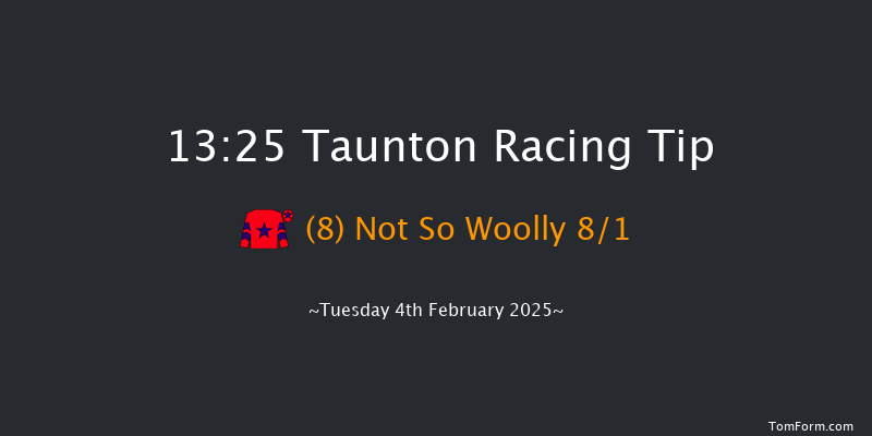 Taunton  13:25 Maiden Hurdle (Class 4) 19f Sat 18th Jan 2025