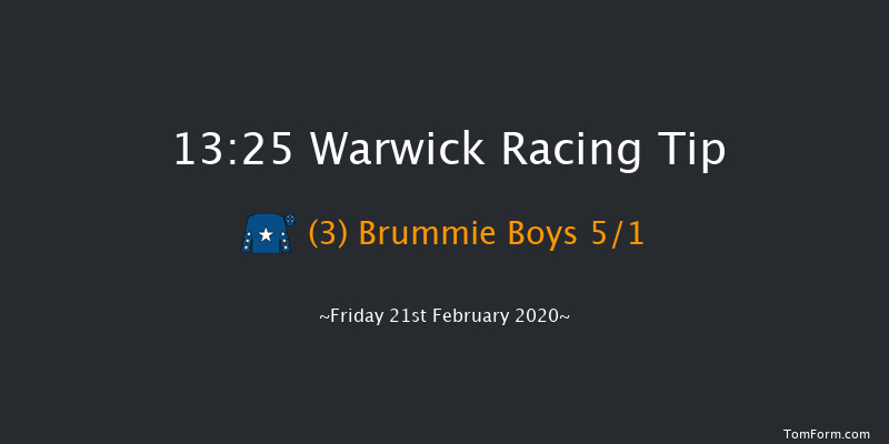 British Stallion Studs EBF 'National Hunt' Novices' Hurdle Warwick 13:25 Maiden Hurdle (Class 4) 19f Sat 8th Feb 2020