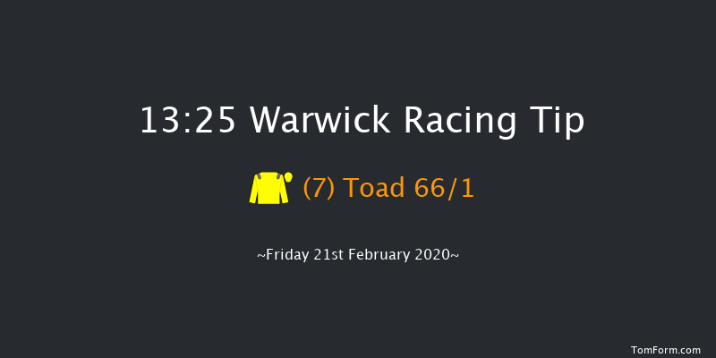 British Stallion Studs EBF 'National Hunt' Novices' Hurdle Warwick 13:25 Maiden Hurdle (Class 4) 19f Sat 8th Feb 2020