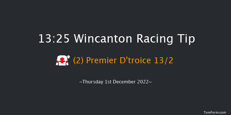 Wincanton 13:25 Handicap Chase (Class 4) 25f Thu 17th Nov 2022