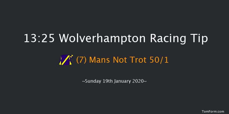 Wolverhampton 13:25 Handicap (Class 6) 9f Wed 15th Jan 2020