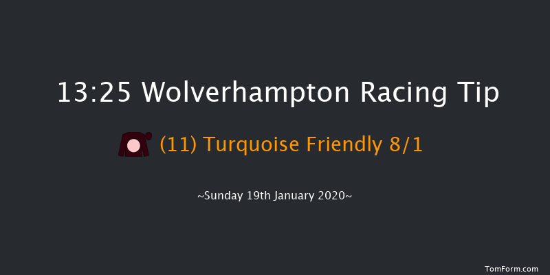 Wolverhampton 13:25 Handicap (Class 6) 9f Wed 15th Jan 2020