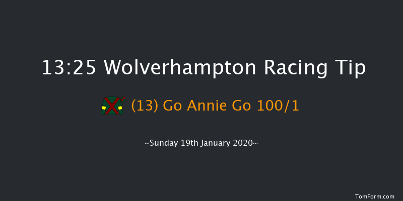 Wolverhampton 13:25 Handicap (Class 6) 9f Wed 15th Jan 2020