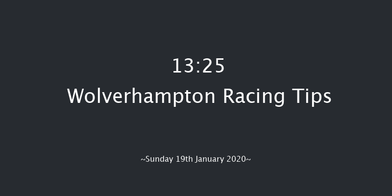 Wolverhampton 13:25 Handicap (Class 6) 9f Wed 15th Jan 2020
