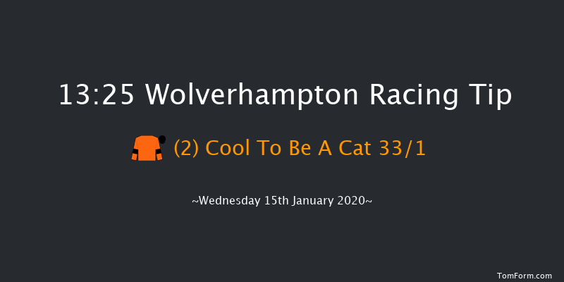 Wolverhampton 13:25 Stakes (Class 5) 9f Mon 13th Jan 2020