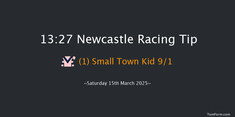Newcastle  13:27 Maiden Hurdle (Class 4) 17f Thu 13th Mar 2025
