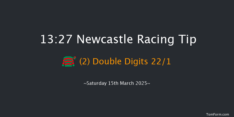 Newcastle  13:27 Maiden Hurdle (Class 4) 17f Thu 13th Mar 2025