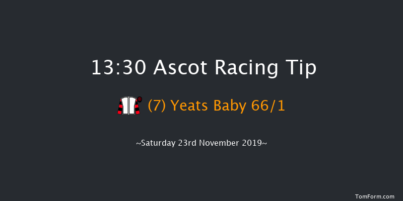 Ascot 13:30 Handicap Hurdle (Class 3) 24f Fri 22nd Nov 2019