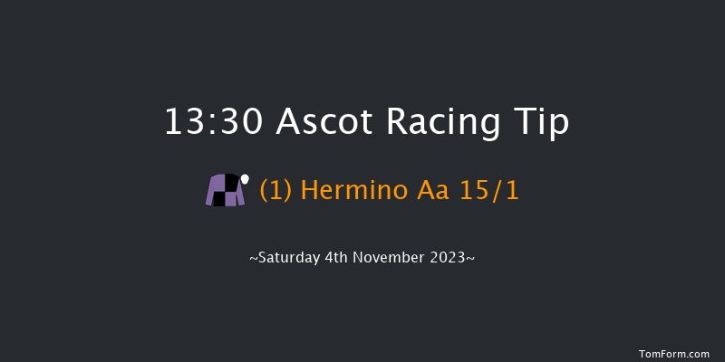 Ascot 13:30 Handicap Chase (Class 3) 19f Sat 21st Oct 2023