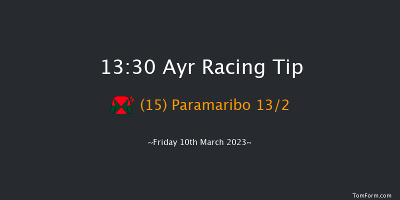 Ayr 13:30 Handicap Hurdle (Class 5) 24f Mon 27th Feb 2023