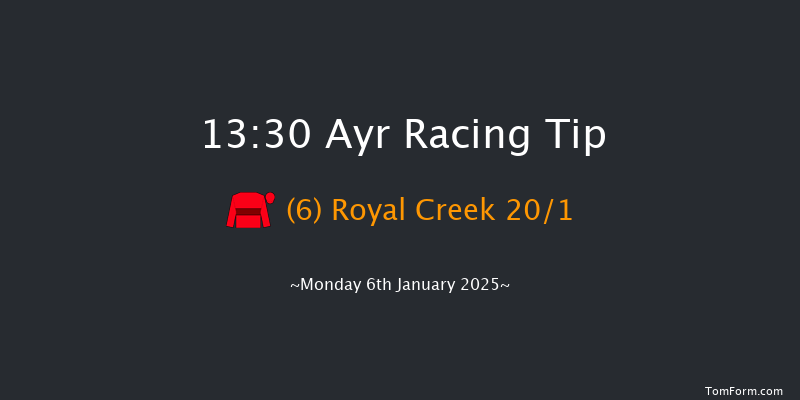 Ayr  13:30 Maiden Hurdle (Class 4) 20f Thu 2nd Jan 2025
