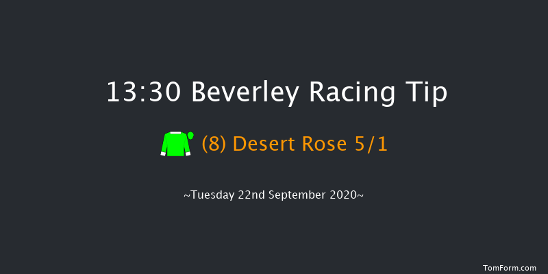 Racing To School ebfstallions.com Novice Stakes Beverley 13:30 Stakes (Class 5) 7f Wed 16th Sep 2020