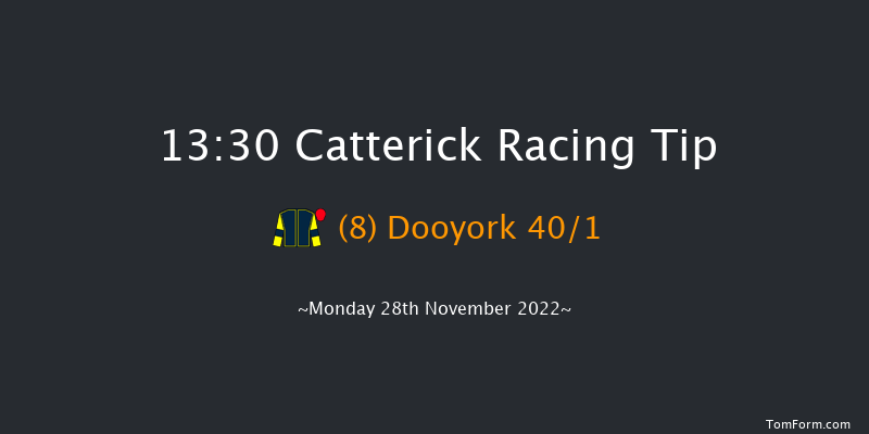 Catterick 13:30 Maiden Hurdle (Class 4) 19f Fri 18th Nov 2022