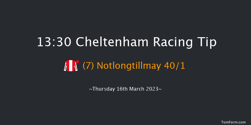Cheltenham 13:30 Maiden Chase (Class 1) 20f Wed 15th Mar 2023